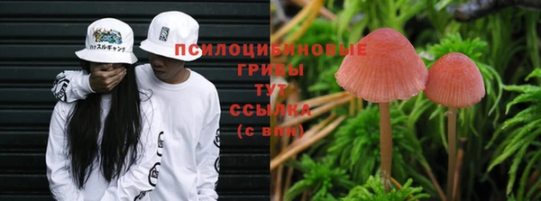 экстази Алзамай