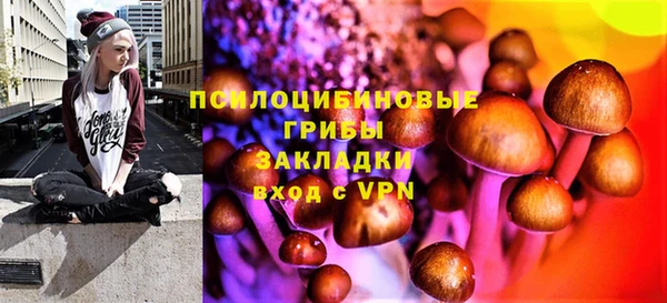 ешки Алексеевка