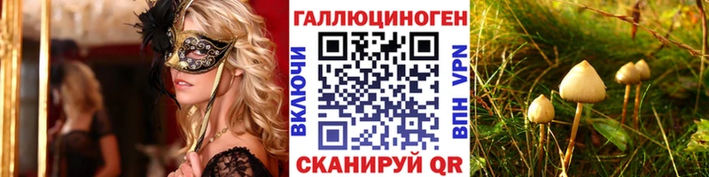закладки  Солнечногорск  Псилоцибиновые грибы Cubensis 