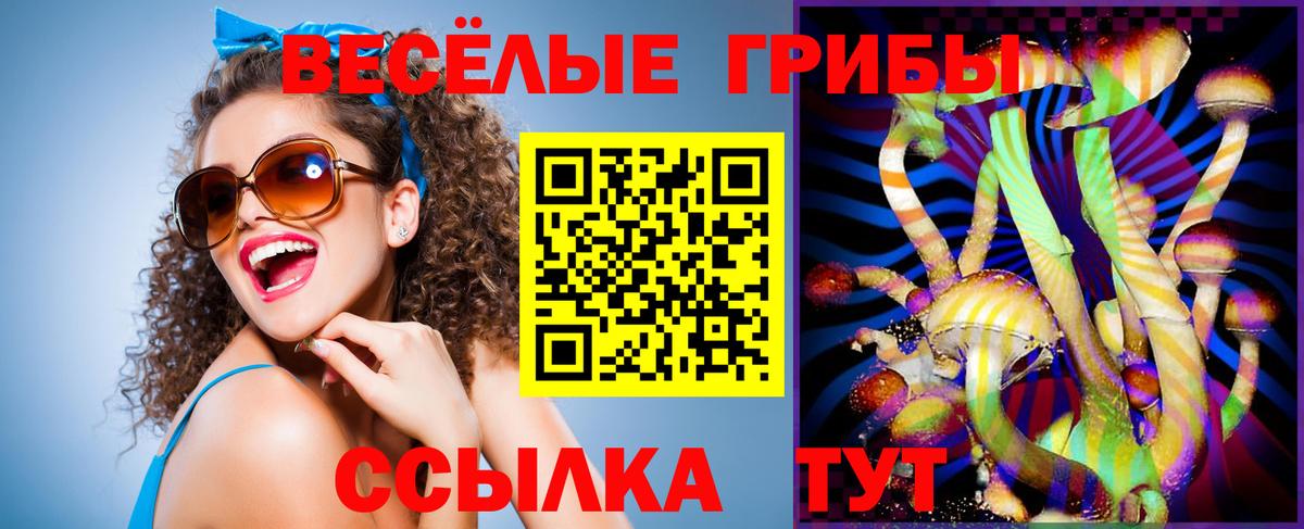 Псилоцибиновые грибы мухоморы  Галлюциногенные грибы Psilocybe  Вход с VPN  Солнечногорск 